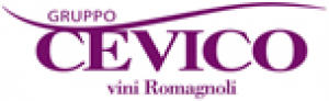 Gruppo Cevico logo