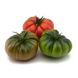 Marinda Tomato