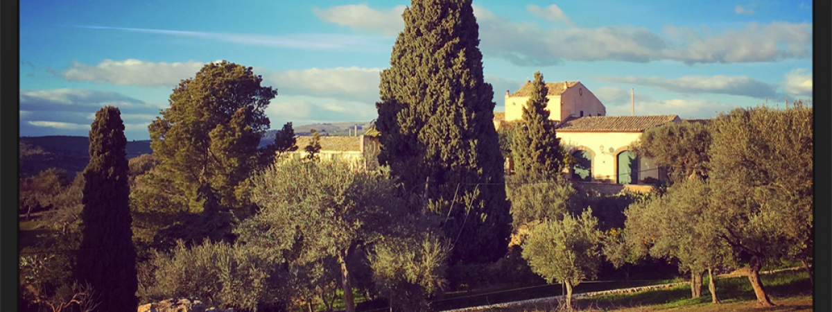 Azienda Biologica PianoGrillo