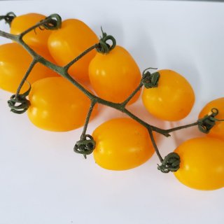 Yellow Date tomatoe