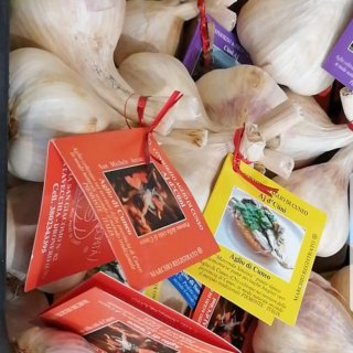 Piedmont Garlic Bundle