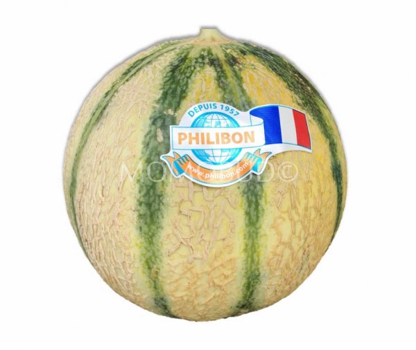 Philibon Extra Quality Melon