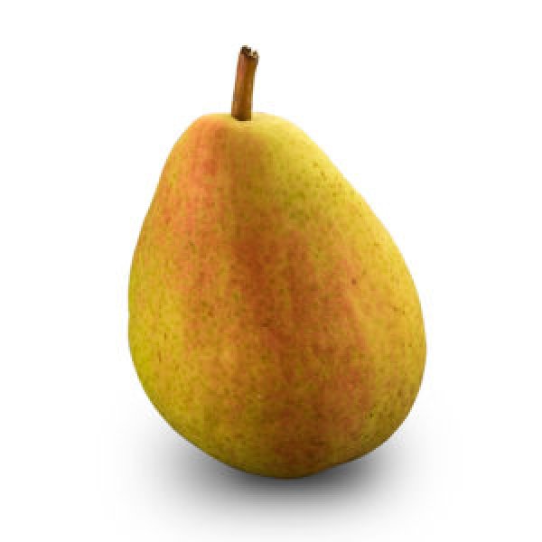 Guyot Pear