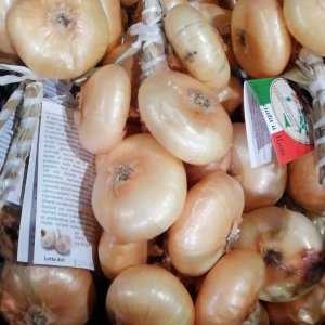 Cannara Flat Golden Onions