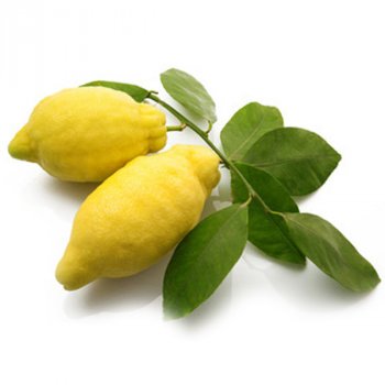 amalf_lemons