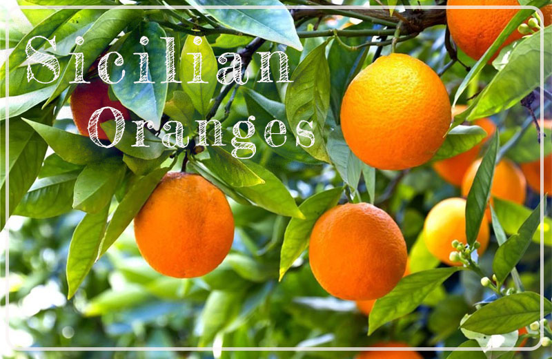 Sicilian Oranges fresh delivered in Hong Kong by Buonissimo Ltd