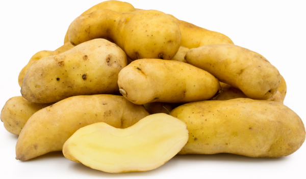 Ratte potatoes